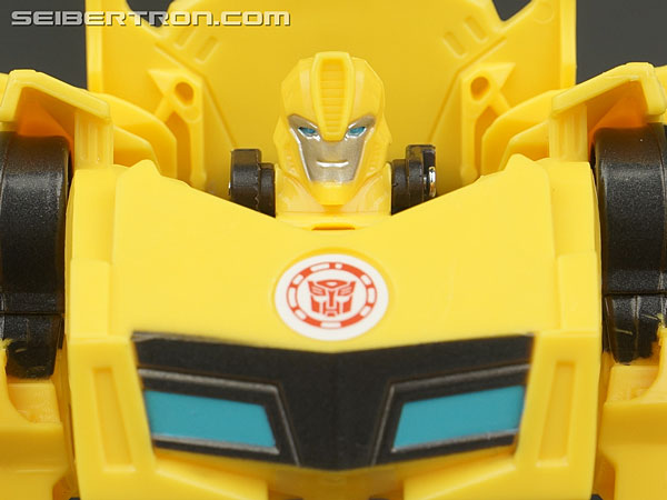 Bumblebee