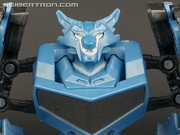 Steeljaw