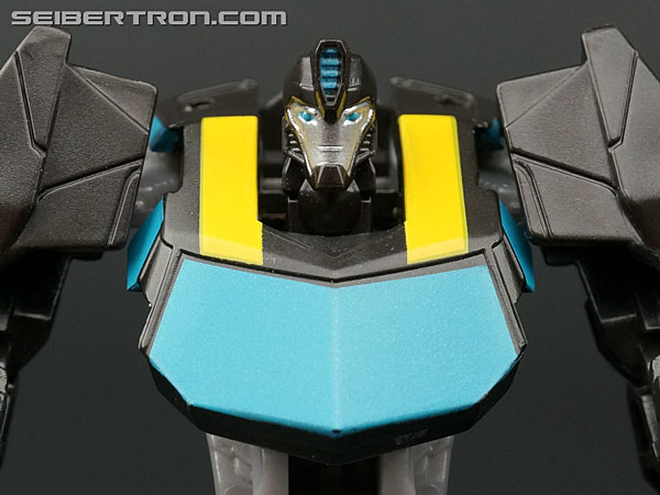 Night Ops Bumblebee
