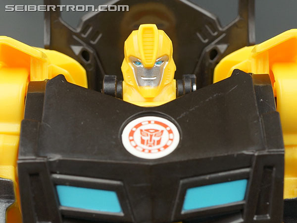 Night Ops Bumblebee