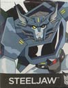 Transformers: Robots In Disguise Steeljaw - Image #7 of 86