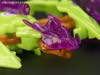 Transformers: Robots In Disguise Dragonus - Image #65 of 111