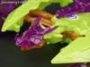 Transformers: Robots In Disguise Dragonus - Image #78 of 111