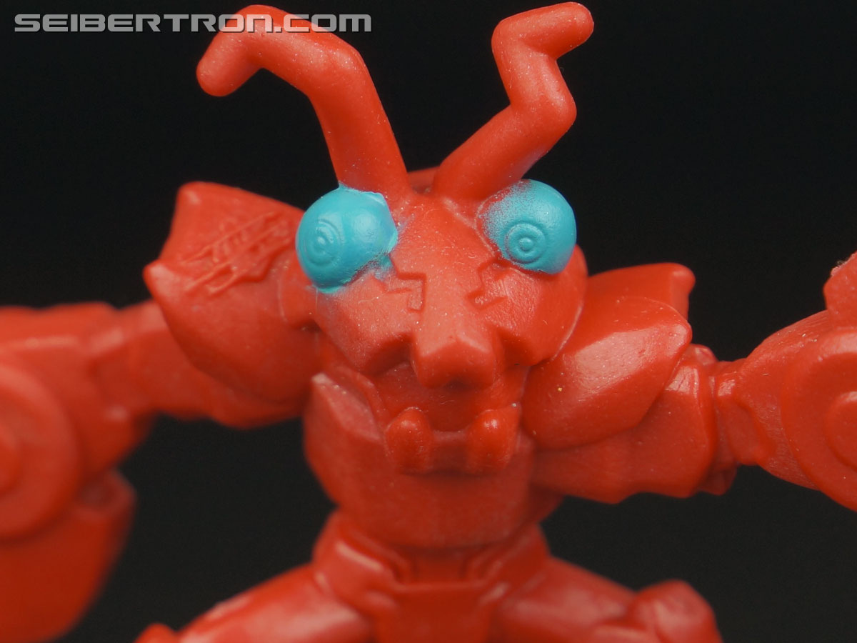 Transformers: Robots In Disguise Bisk (Image #8 of 37)