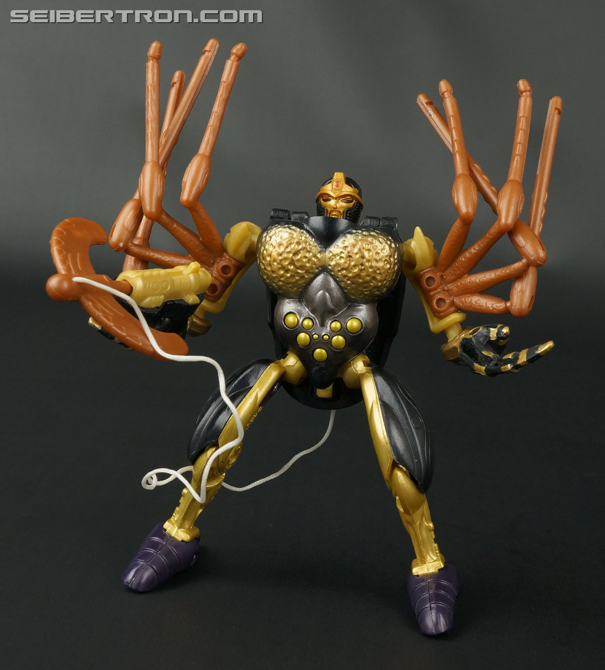 Transformers Legends Blackarachnia (Image #153 of 173)