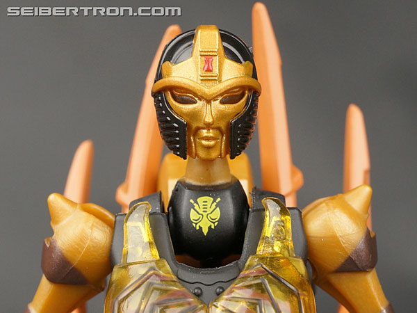 Blackarachnia