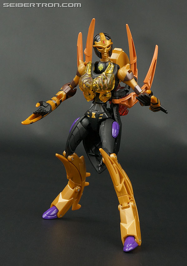 Transformers News: New Galleries: Transformers Legends Nightbird Shadow, Slipstream and Blackarachnia