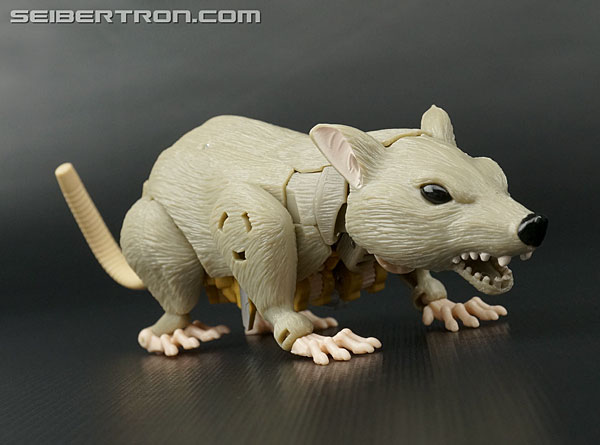 Transformers News: New Galleries: Transformers Legends LG-EX Rhinox, Waspinator and Rattrap