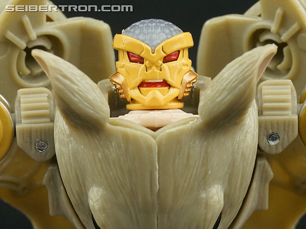Rattrap