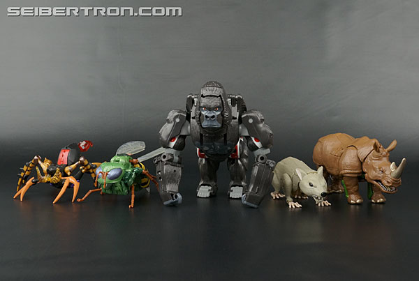 Transformers News: New Galleries: Transformers Legends LG-EX Rhinox, Waspinator and Rattrap