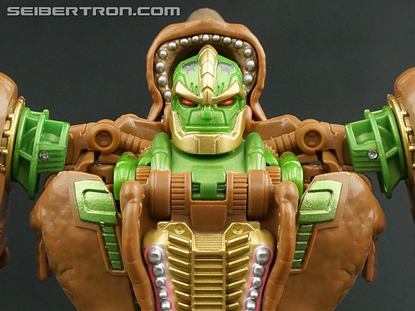 Rhinox