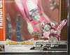 Transformers Legends Arcee - Image #2 of 159