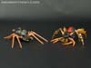 Transformers Legends Blackarachnia - Image #47 of 173