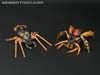 Transformers Legends Blackarachnia - Image #48 of 173