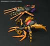 Transformers Legends Blackarachnia - Image #50 of 173