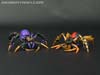 Transformers Legends Blackarachnia - Image #52 of 173