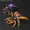 Transformers Legends Blackarachnia - Image #60 of 173