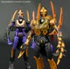 Transformers Legends Blackarachnia - Image #131 of 173