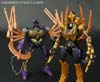 Transformers Legends Blackarachnia - Image #139 of 173