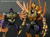 Transformers Legends Blackarachnia - Image #140 of 173