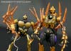 Transformers Legends Blackarachnia - Image #146 of 173