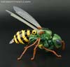 Transformers Legends Waspinator - Image #30 of 115