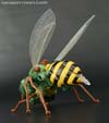 Transformers Legends Waspinator - Image #33 of 115