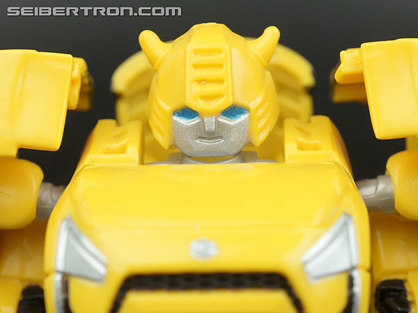 Bumblebee (Bumble)