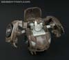 Q-Transformers Lockdown - Image #59 of 90