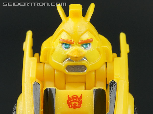 Bumblebee Bird