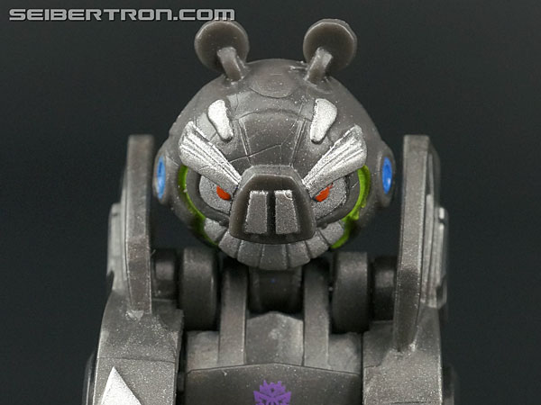 Lockdown Pig