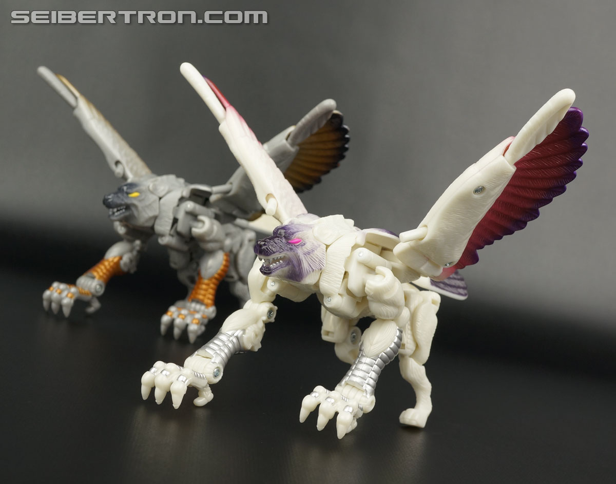 Transformers BotCon Exclusives Windrazor (Image #67 of 137)