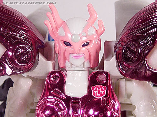 Arcee