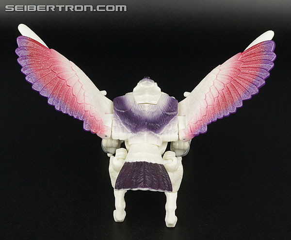 Transformers BotCon Exclusives Windrazor (Image #38 of 137)