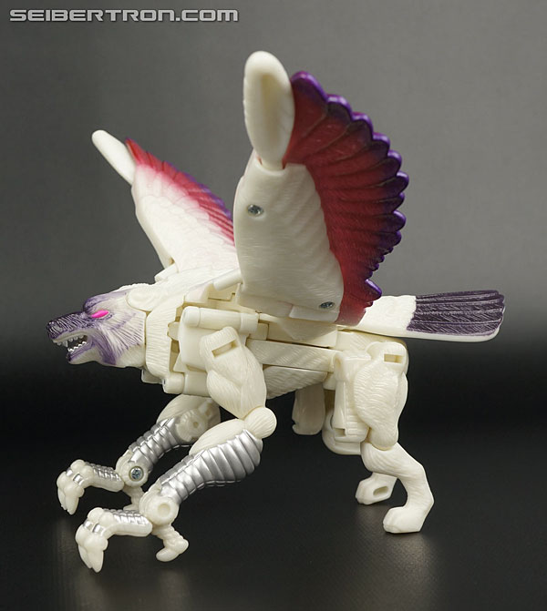 Transformers BotCon Exclusives Windrazor (Image #41 of 137)