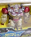 BotCon Exclusives Apelinq - Image #2 of 84