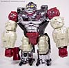 BotCon Exclusives Apelinq - Image #36 of 84
