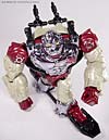 BotCon Exclusives Apelinq - Image #43 of 84