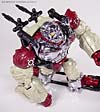 BotCon Exclusives Apelinq - Image #47 of 84