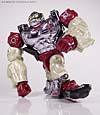 BotCon Exclusives Apelinq - Image #55 of 84