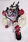 BotCon Exclusives Apelinq - Image #56 of 84