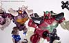 BotCon Exclusives Apelinq - Image #82 of 84