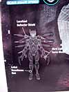 BotCon Exclusives Arcee - Image #15 of 90