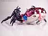 BotCon Exclusives Arcee - Image #33 of 90