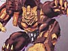BotCon Exclusives Grizzly-1 (Barbearian) - Image #16 of 98