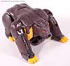 BotCon Exclusives Grizzly-1 (Barbearian) - Image #22 of 98