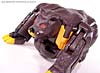 BotCon Exclusives Grizzly-1 (Barbearian) - Image #31 of 98