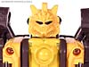 BotCon Exclusives Grizzly-1 (Barbearian) - Image #42 of 98
