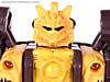 BotCon Exclusives Grizzly-1 (Barbearian) - Image #44 of 98