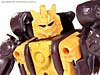 BotCon Exclusives Grizzly-1 (Barbearian) - Image #56 of 98